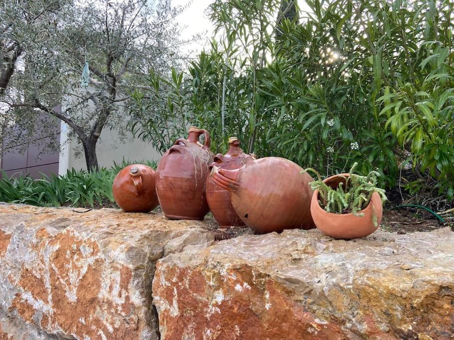Lis Estello - Gite A Flayosc Var Exterior foto
