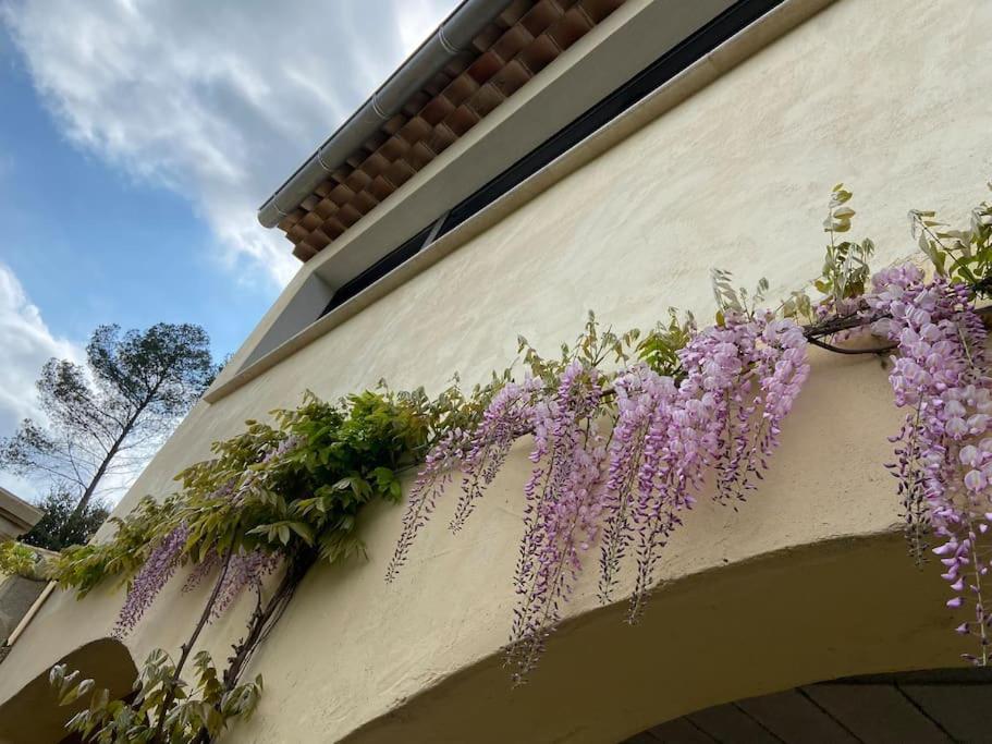Lis Estello - Gite A Flayosc Var Exterior foto